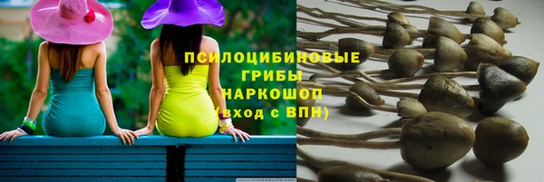 таблы Аркадак