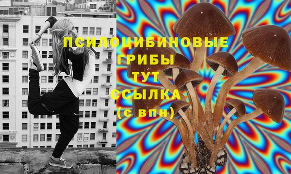 таблы Аркадак