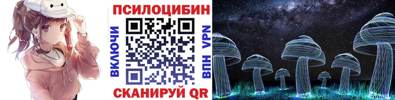 Псилоцибиновые грибы GOLDEN TEACHER  купить закладку  Красный Кут 